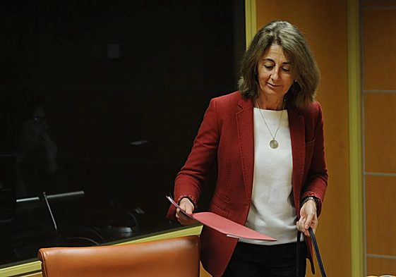 La fiscal del País Vasco admite que el 'caso Bernedo' ha estado «meses parado» en el Juzgado de Vitoria