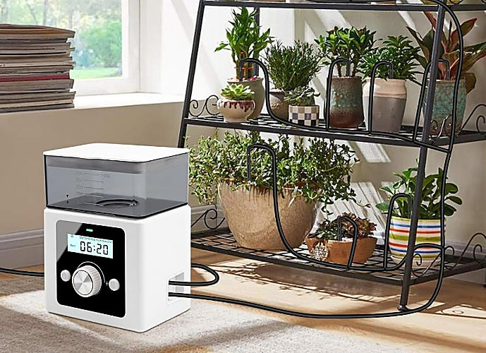 Olvídate de tus plantas cuando no estés en casa gracias a este sistema de riego automático