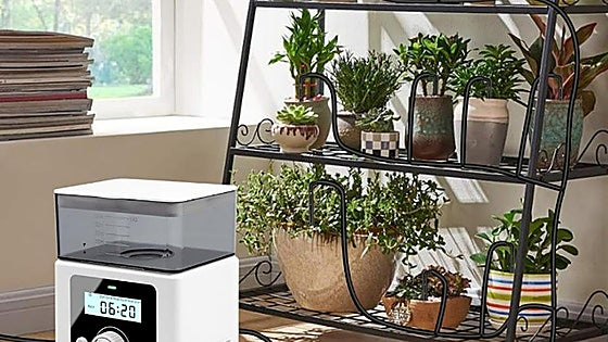 Olvídate de tus plantas cuando no estés en casa gracias a este sistema de riego automático