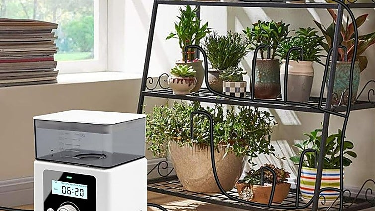 Olvídate de tus plantas cuando no estés en casa gracias a este sistema de riego automático