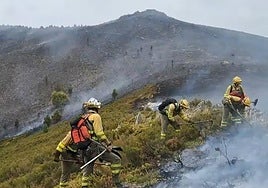 Bomberos forestales trabajan para controlar el incendio.