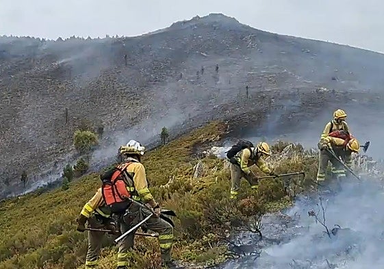 Bomberos forestales trabajan para controlar el incendio.