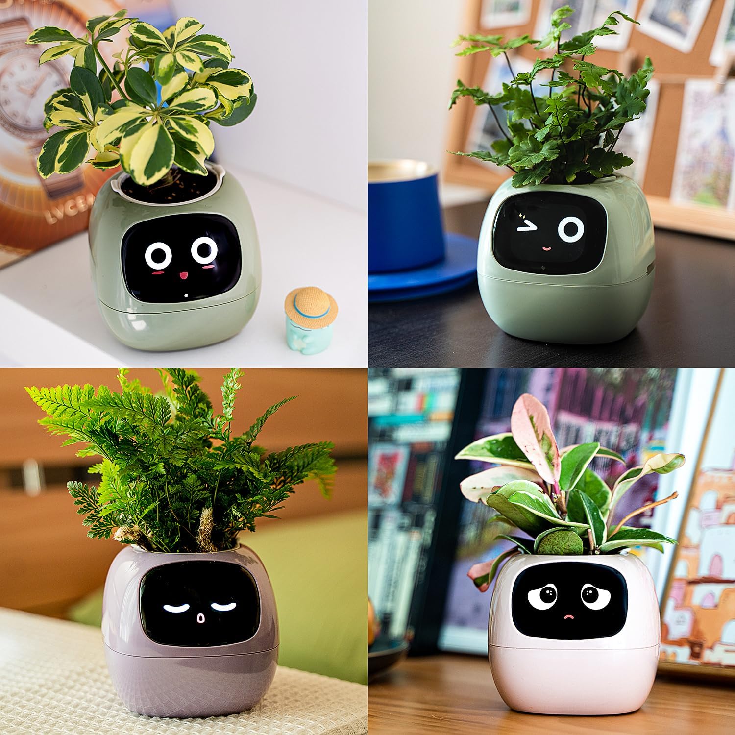 Esta maceta es capaz de cambiar de cara en función del estado de tus plantas y de tu hogar