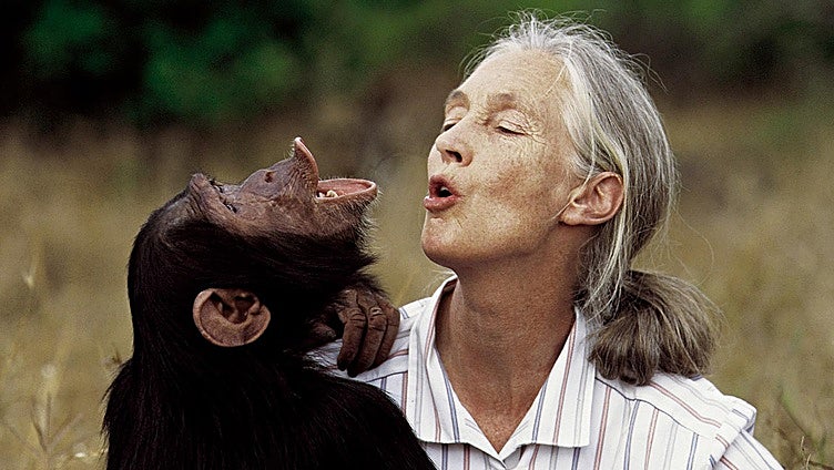 Muere la primatóloga Jane Goodall a los 91 años