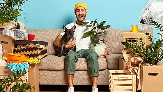 Fiesta de Ofertas Prime de Amazon: un hogar más cómodo para ti y para tus mascotas no tiene precio