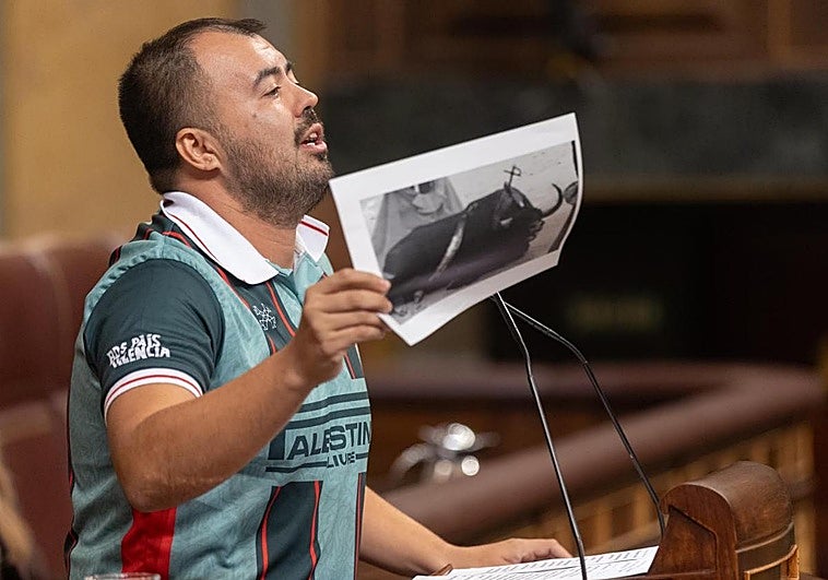 El diputado de Sumar Nahuel González, muestra una foto de un toro en una corrida en su intervención en el Congreso.