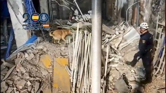 Captura de vídeo en la que aparecen que los perros Scotex y Lume al localizar a las dos últimas personas desaparecidas en el derrumbe del edificio que se produjo en la calle Hileras de Madrid.