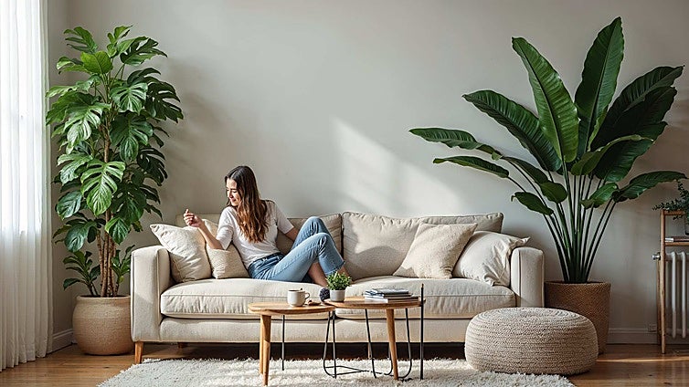 Estas plantas grandes artificiales parecen de verdad y son perfectas para decorar tu hogar