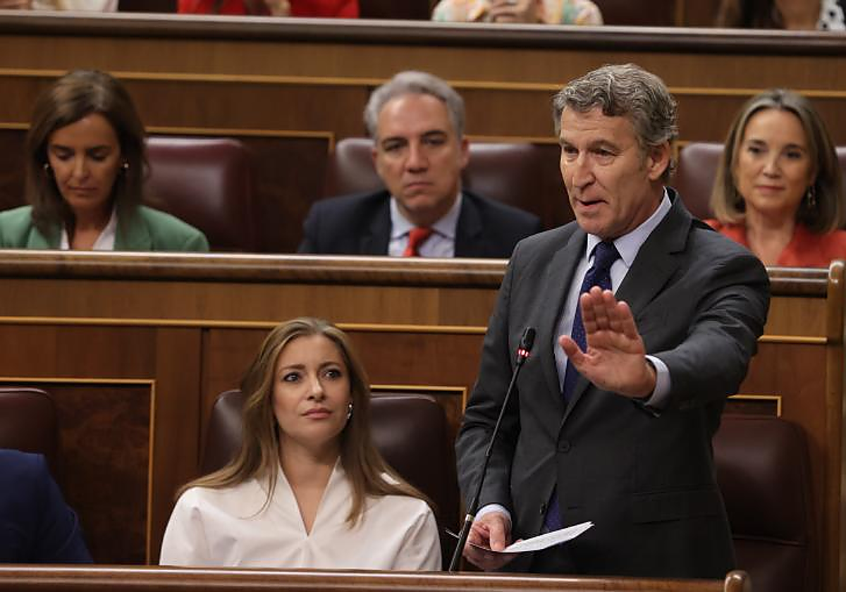 El líder del PP, Alberto Núñez Feijóo