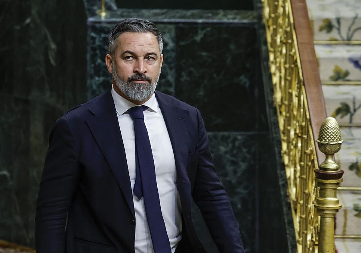 El líder de Vox, Santiago Abascal.