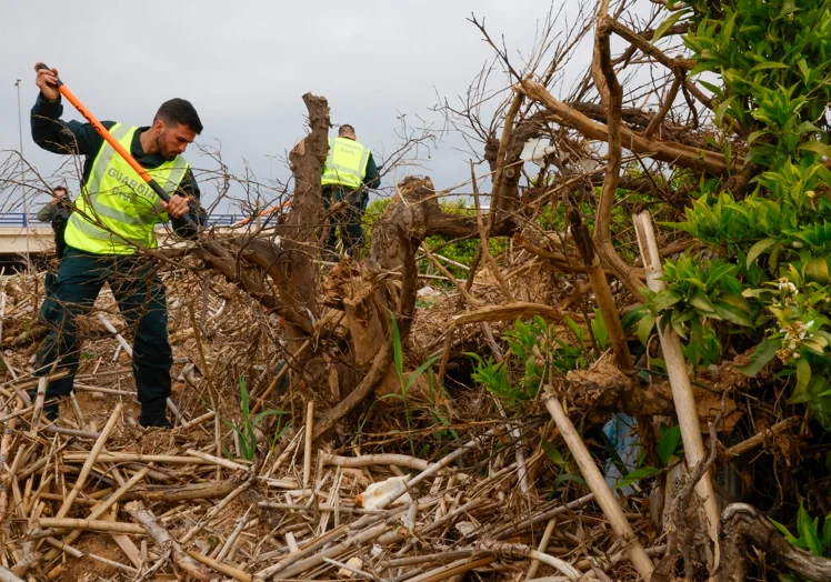 Trabajos de la Guardia Civil durante la búsqueda de los desaparecidos tras la dana.