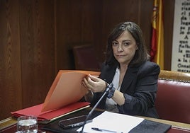 Ana María Fuentes, integrante de la Secretaría de Organización del PSOE, comparece en la comisión del Senado.