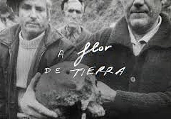 'A flor de tierra', documental de RTVE
