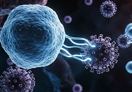 Así funcionan los antidisturbios del sistema inmune