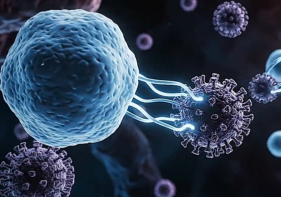 Así funcionan los antidisturbios del sistema inmune