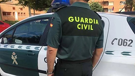 Hallados muertos 27 perros de caza en la bodega de un barco en el puerto de Palma