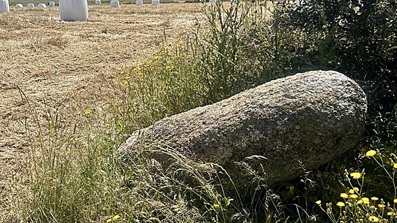 Un agricultor derriba en Toledo un menhir de 5.000 años al intentar enderezarlo con su tractor