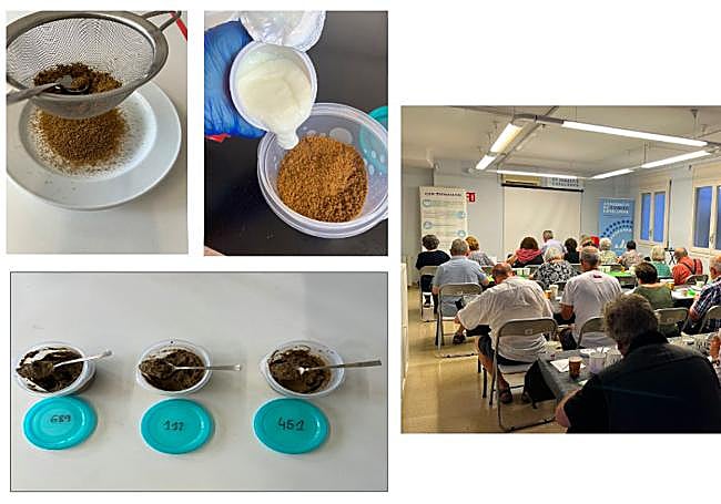 Imágenes del experimento de las investigadoras de la Universitat Oberta de Catalunya.