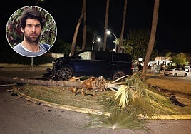 Estado de la furgoneta y la palmera tras el accidente.