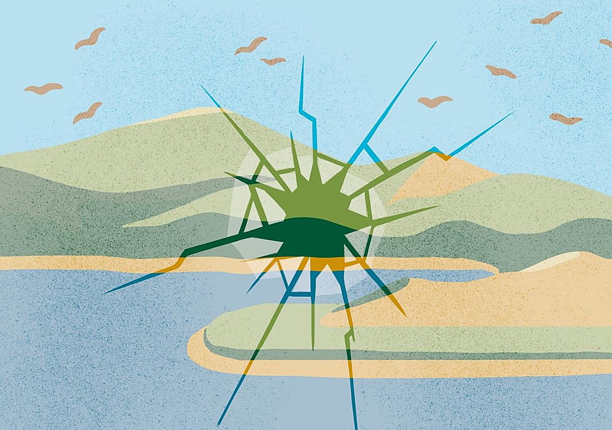 Vivimos en un tiempo cruel