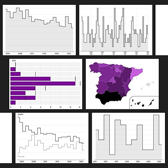Ocho gráficos para poner cara a los datos de violencia de género