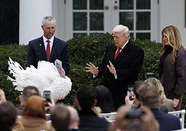 Donald Trump, al indultar este martes en la Casa Blanca a uno de los pavos por Acción de Gracias.