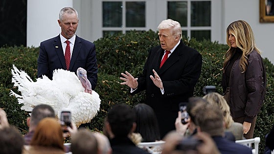 Ni los pavos se salvan con Trump