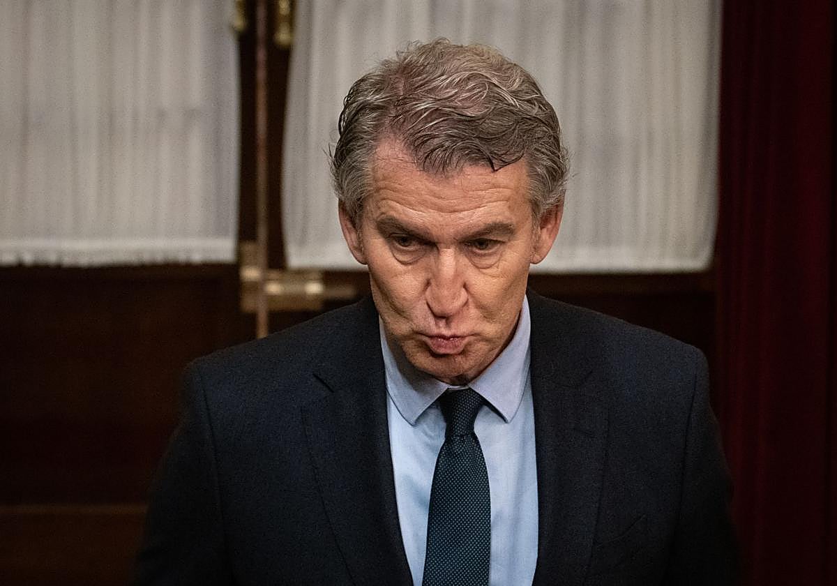 El líder del PP, Alberto Núñez Feijóo.