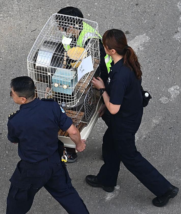 Imagen secundaria 2 - Varios residentes en las torres calcinadas pasan la noche en un centro comerciales: decenas de bolsas con artículos de primera necesidad para los damnificados; rescatistas portan varias mascotas. 
