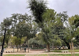 Parque de la Concordia en Jaén.