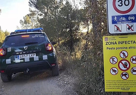 Un puesto de control de los agentes rurales catalanes en la zona confinada por la peste porcina.