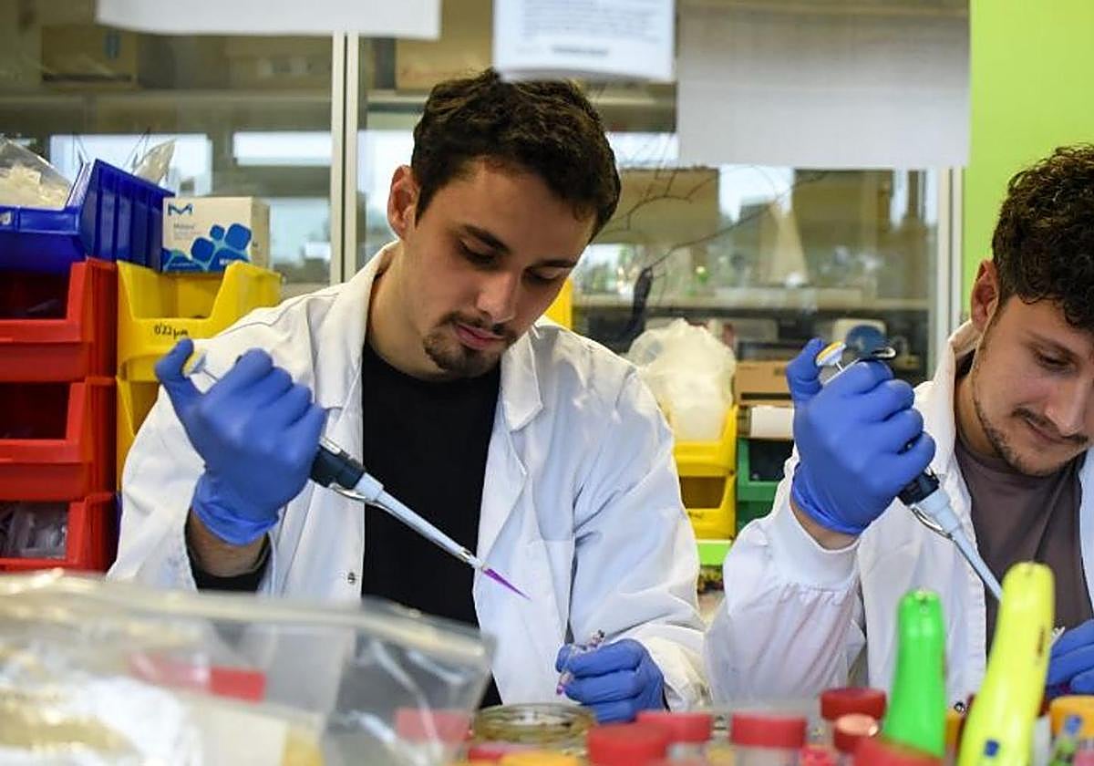 Ander Ramos y Joao Zulaica trabajan en el laboratorio del Instituto Biofisika (UPV/CSIC).