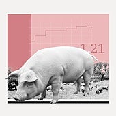 La crisis porcina provocará un desplome de los precios de la carne si el virus llega a las granjas