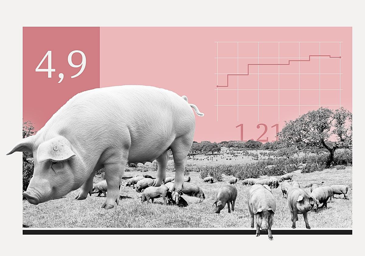 The Swine Crisis Could Lead to a Meat Price Collapse if the Virus Reaches Farms