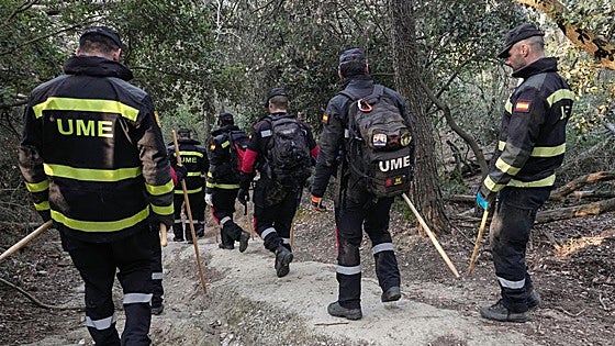 Los agentes rurales hallan medio centenar de jabalíes muertos en la zona afectada de Barcelona