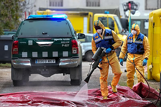 Desinfección por parte de la UME de un vehículo de los Guardias Forestales