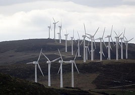 El viento tumba el precio de la luz pero el consumidor teme un alza en la factura para 2026 por los costes fijos