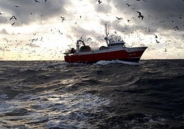 El Gobierno vasco, preocupado por un posible recorte del 70% de las capturas de verdel para 2026