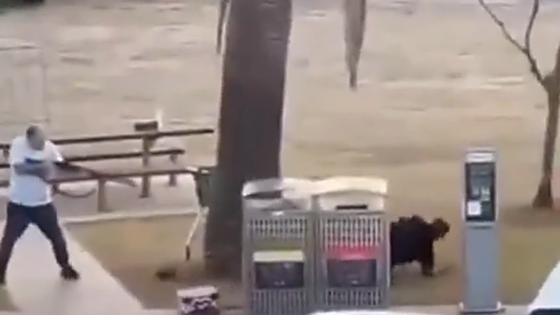El heroico acto de un hombre al desarmar a uno de los terroristas de Sídney