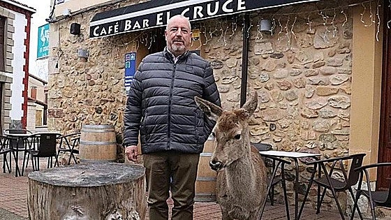 Denuncian a un vecino de León por convivir con una venada que «no se separa de mí»