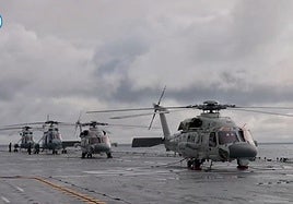 Helicópteros participantes en las maniobras.