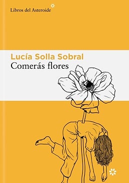 Resim - Romanın kapağı.