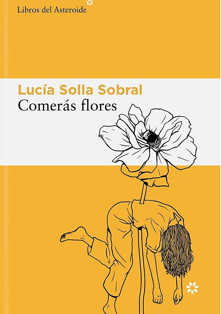 Resim - Romanın kapağı.