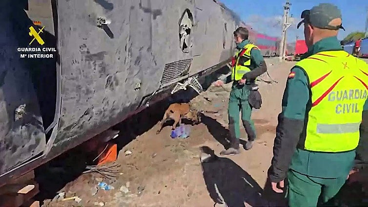 Imágenes del interior de los trenes accidentados