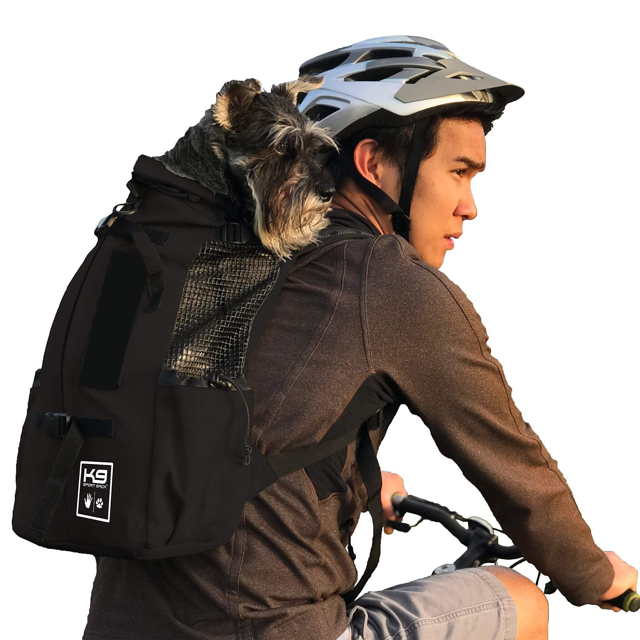 Disfruta de rutas seguras y cómodas con tu mascotas gracias a esta mochila porta-perros