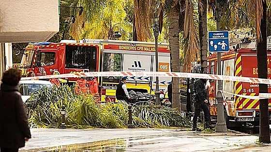 La joven fallecida al caerle una palmera en Torremolinos iba a comisaría a recoger su tarjeta de residencia