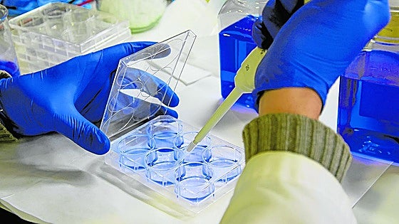 La mayoría de españoles confía en que la ciencia curará el cáncer en 2050 pero no en que acabe con la pobreza