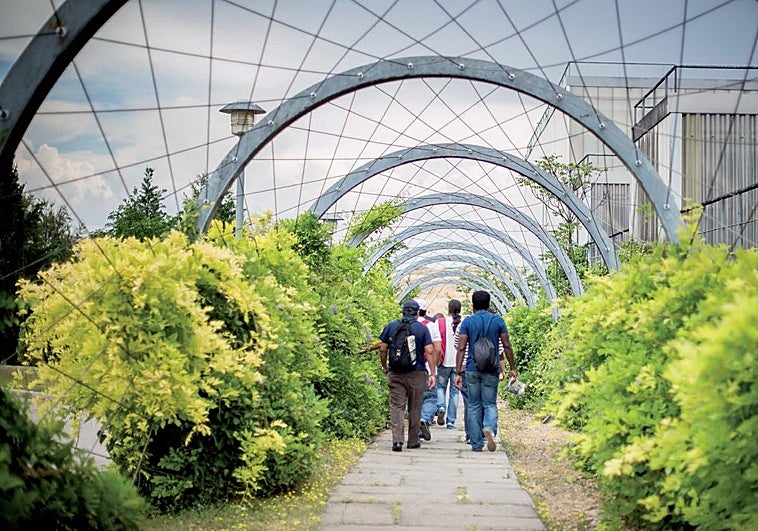 'Reciclar para cambiar vidas': segundas oportunidades para los materiales, para las personas