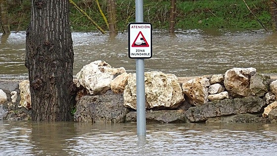 El desbordamiento del Duero obliga a confinar y desalojar viviendas en Soria