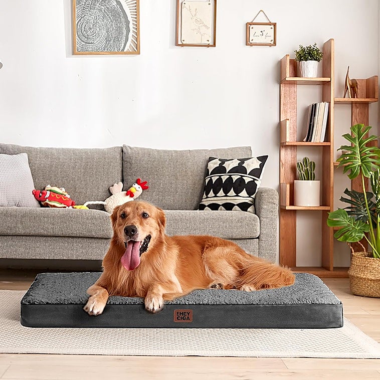 Estas camas viscoelásticas para perros cuidarán su descanso y aliviarán su presión articular